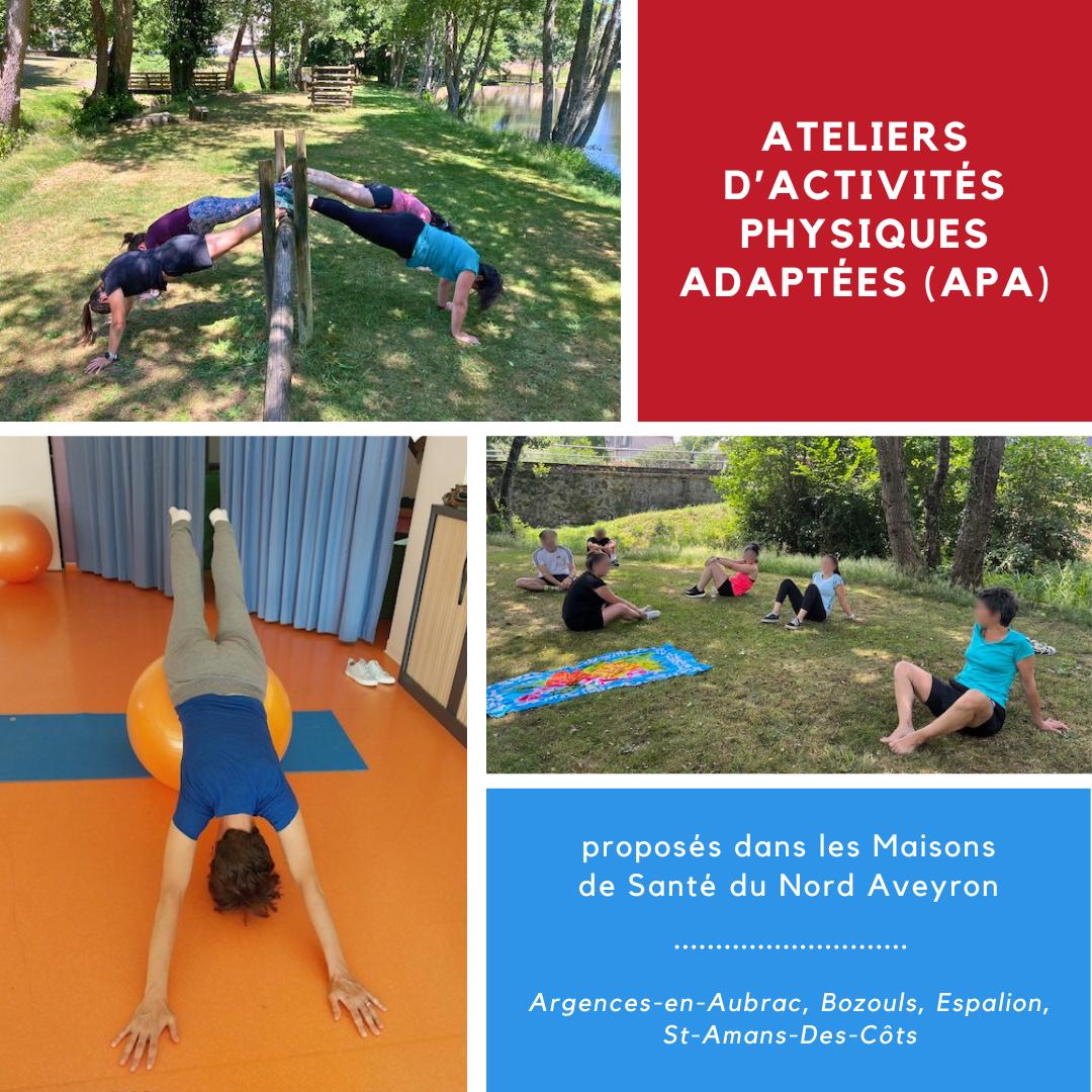apa-msp-na